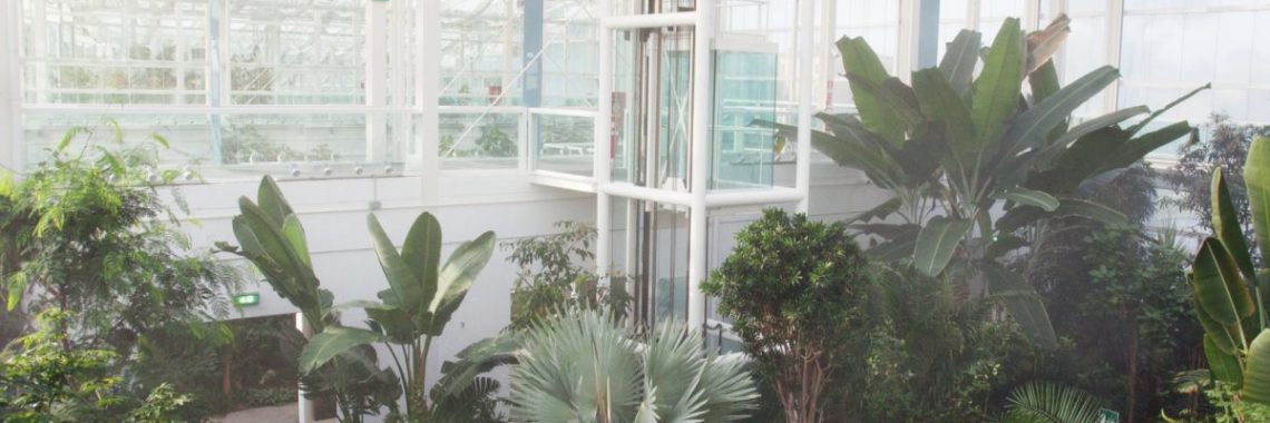 Orto Botanico a Padova