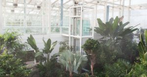 Orto Botanico a Padova